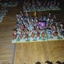 DBM 15mm Beja army Image 8