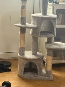 cats tree