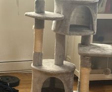 cats tree