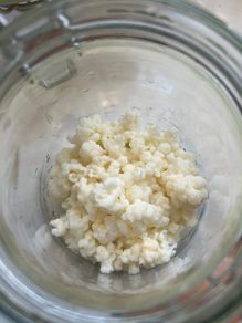 Milk kefir grains