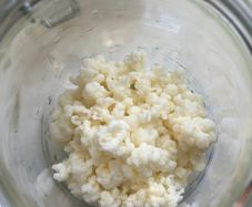 Milk kefir grains