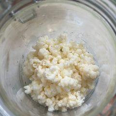 Milk kefir grains
