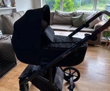 2 in 1 buggy