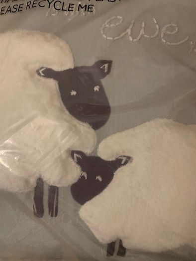 Cushion