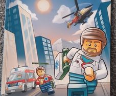 lego book only ,