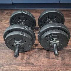 Tiltable weights bench plus 2 dumbbells