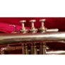 Vintage Strasser Marigaux Lemaire SML French Cornet Image 8