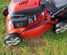 Harry lawnmower