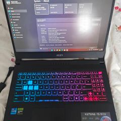Msi Katana 15 B13v