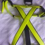Huge selection Dog Leads Harnesses Collars BNWT Image 8