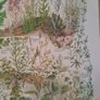 Vintage Botanical Print / Poster - Waste Ground & Weeds Image 4