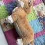 jellycat Image 2