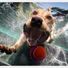 rydwan