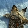 costume brooch Image 7