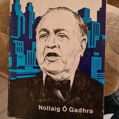 Richard J Daley. Meara Chicago. By Nollaig O  Gadhra. First Edition Hardback Complete With Dustjacket In Very Good Condition.