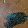 wood carving Image 5