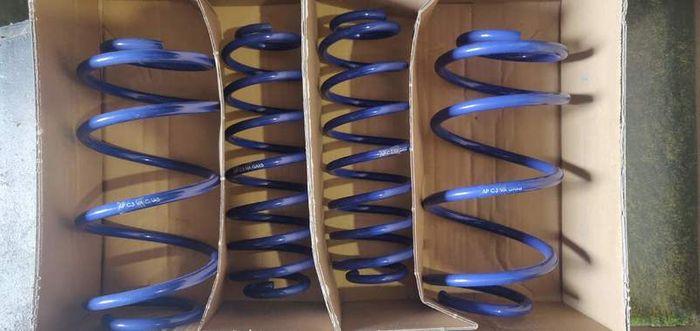 CITROEN C2 C3 High Quality Lowering Springs AP Germany