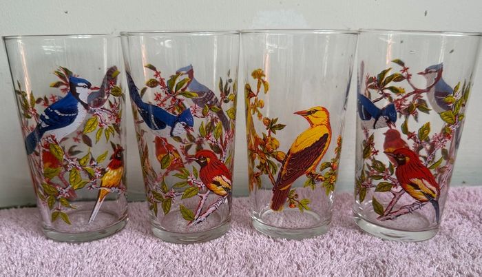 Vintage Set of 1960's Arcoroc Luminarc Exotic Bird Tumblers