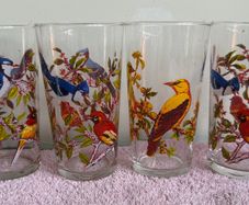 Vintage Set of 1960's Arcoroc Luminarc Exotic Bird Tumblers