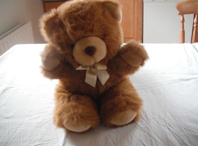 Cuddly Bear for Sale