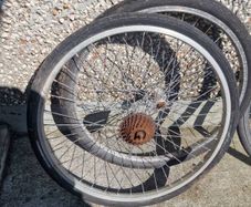 free bike wheels