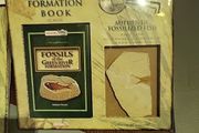 Fossils from the USA