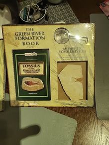 Fossils from the USA
