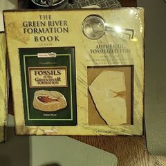 Fossils from the USA