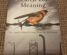Man's Search for Meaning (Victor E Frankl)
