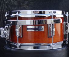 Wanted Taye Studio Maple 16" Floor Tom