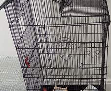 Cage