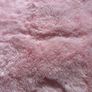 Rug Brand New Image 3