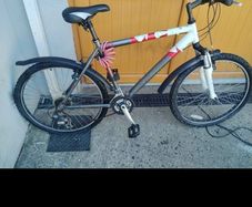 Raleigh mountain bike