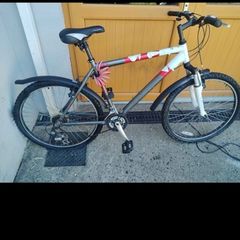 Raleigh mountain bike