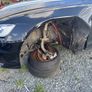 161 Audi A6 Auto Image 7