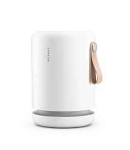 Air Mini with PECO-HEPA Tri-Power filter