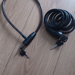 Two bike locks