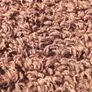 Vintage Walton high pile pure wool rug Image 3