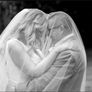Veil Image 5