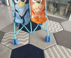 Bluey double stroller
