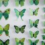 Butterfly Wall Decor Image 2