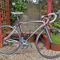 Road Bike (Carbon / Ultegra)