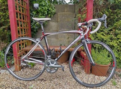 Road Bike (Carbon / Ultegra)