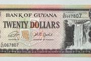 Guyana 20 Dollars Banknote