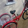 Trike Image 3