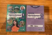 Junior cert Spanish