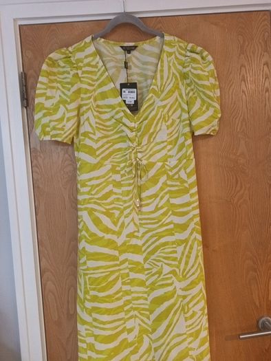 Bibi Lime Zebra Dress.  S. XL - 16. B.N.W.T.  (House Of Fraser)