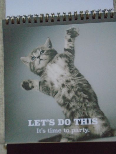 Cat themed flip book, Gift. Book.Mother's Day gift