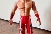 Wwe figure