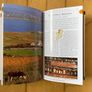 Ireland - DK Eyewitness Travel Guide Image 3